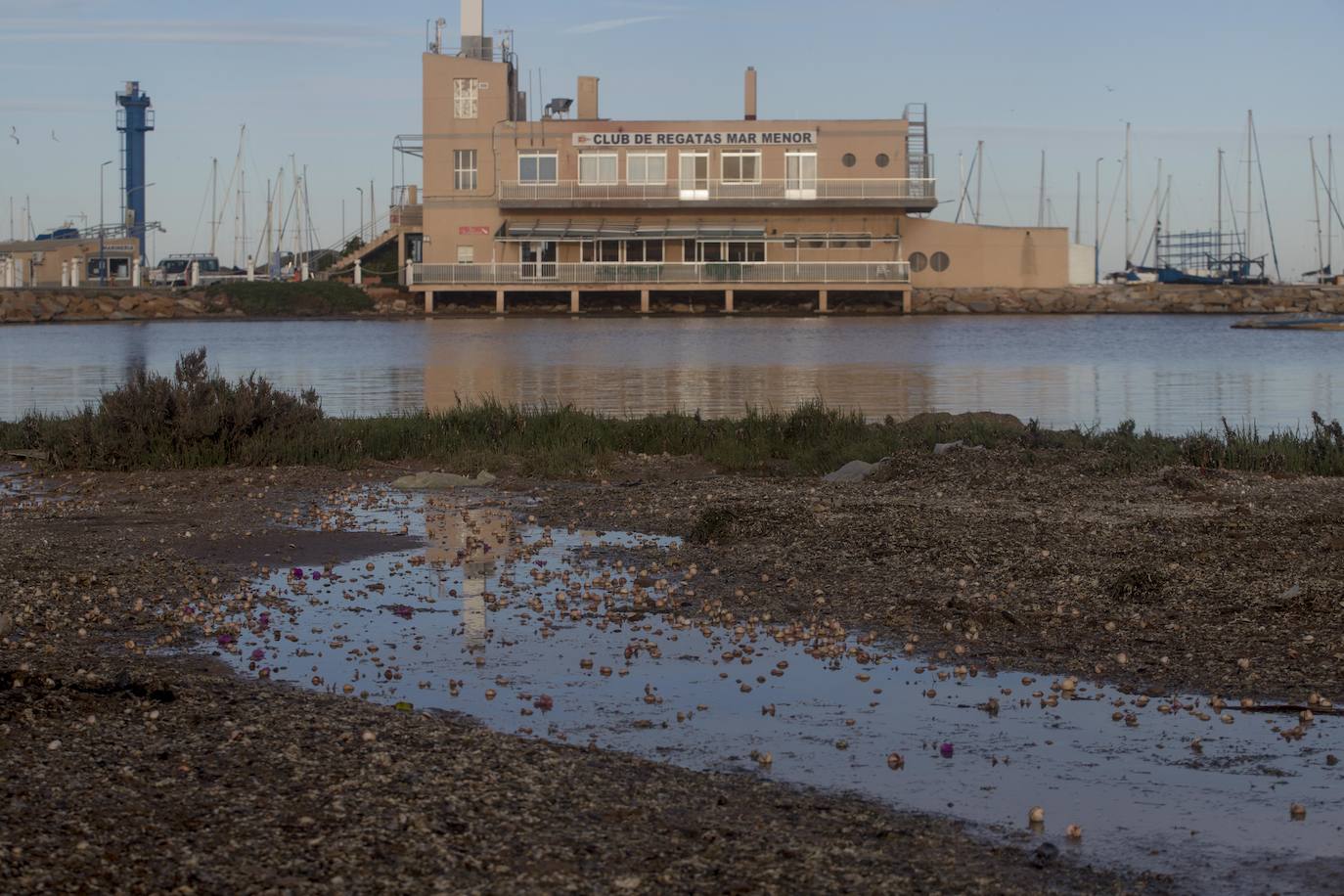 Un vecino de La Unión asegura que también encontró bivalvos en «descomposición» en la costa de Los Nietos
