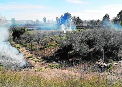 Imagen secundaria 1 - Pequeña muestra de las quemas agrícolas realizadas en las últimas semanas en Santomera y diferentes pedanías de Murcia. 