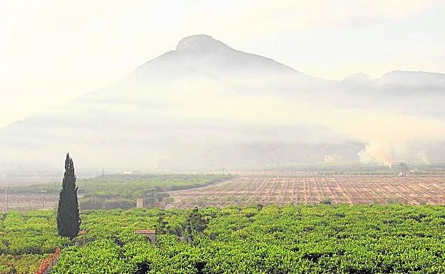 Imagen principal - Pequeña muestra de las quemas agrícolas realizadas en las últimas semanas en Santomera y diferentes pedanías de Murcia. 