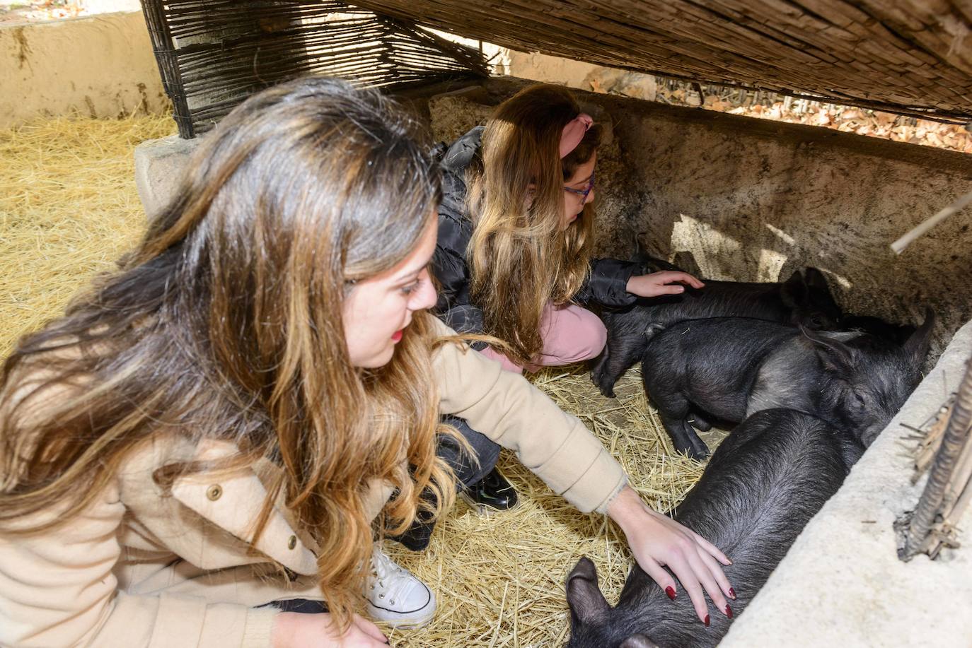 Fotos: La Navidad vuelve a cobrar vida en El Raal