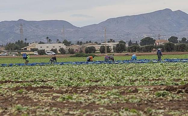 Imagen de archivo de una finca del campo de Cartagena