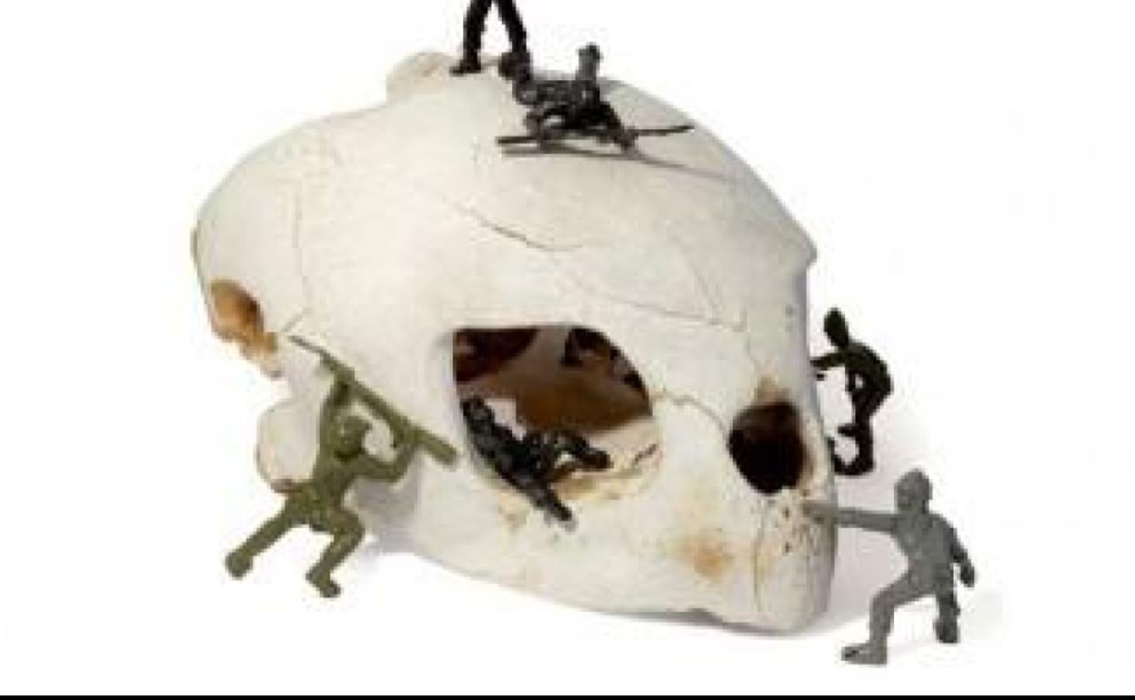 'La tortuga de Darwin'