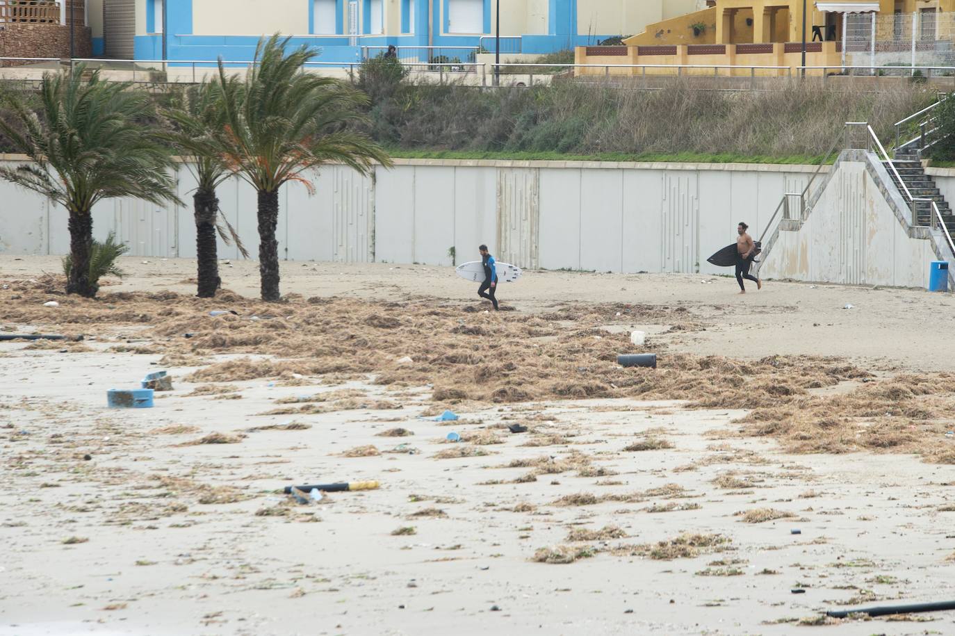 Las áreas más afectadas fueron la plaza Bohemia, donde cayeron palmeras, árboles y cactus gigantes, y la zona de bares de la urbanización Babilonia