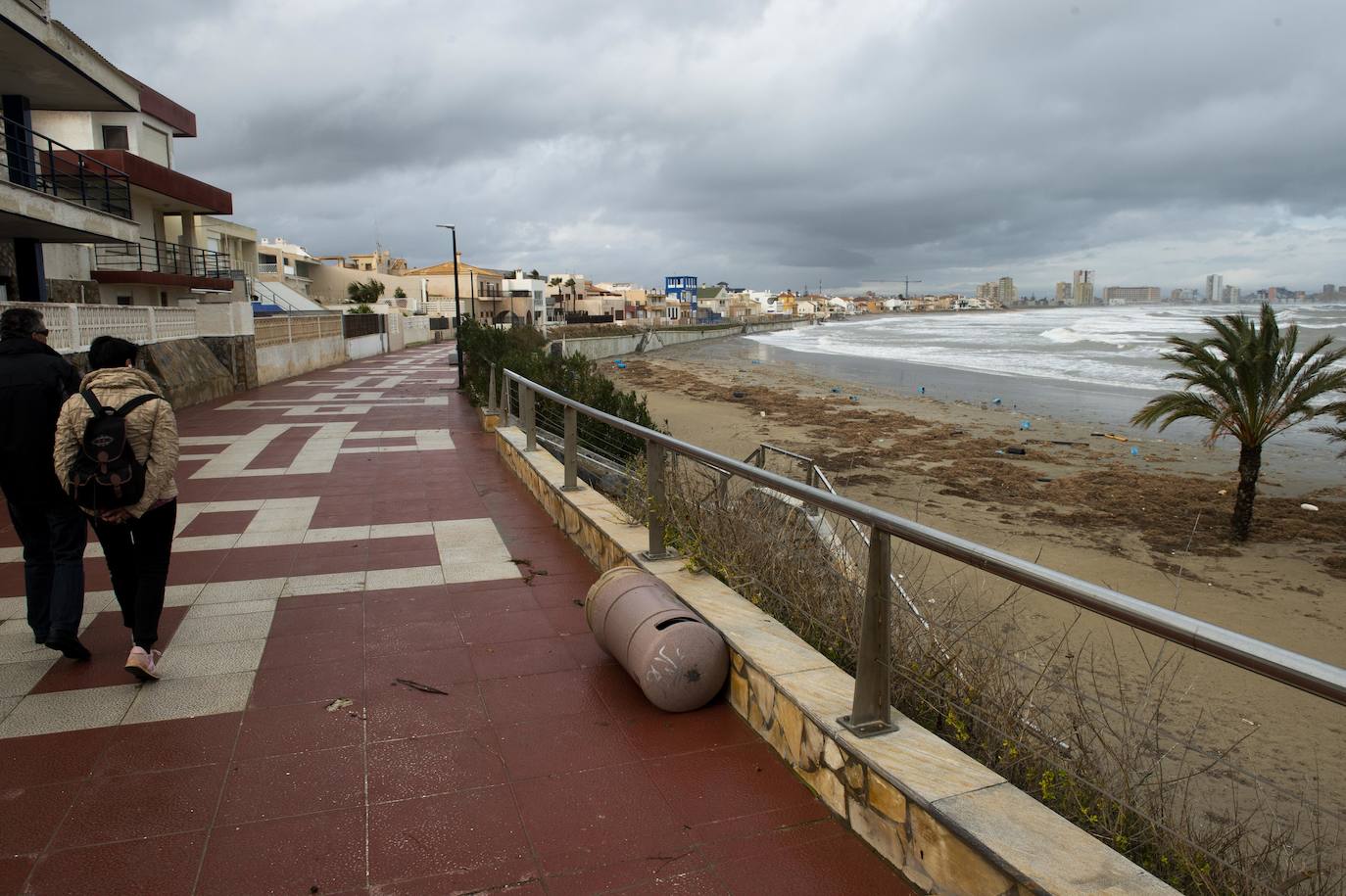 Las áreas más afectadas fueron la plaza Bohemia, donde cayeron palmeras, árboles y cactus gigantes, y la zona de bares de la urbanización Babilonia