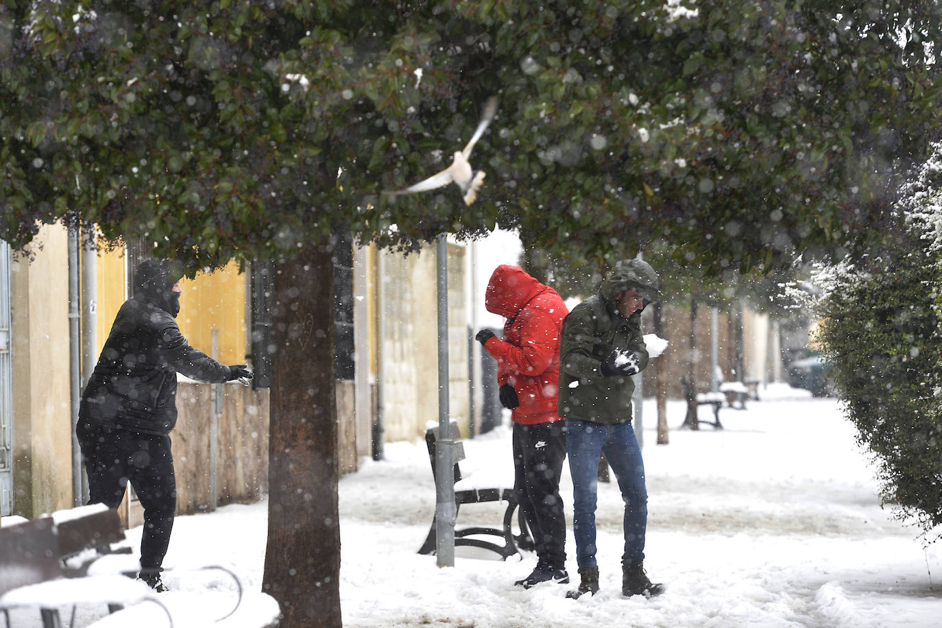 Junto a estos registros destacan los 20 centímetros de Bullas, a 600 metros; Caravaca-Los Rollos (15 centímetros), Benizar (10 cm), Totana-La Carrasca (10 cm) y Alhama-Sierra Espuña (2 cm)