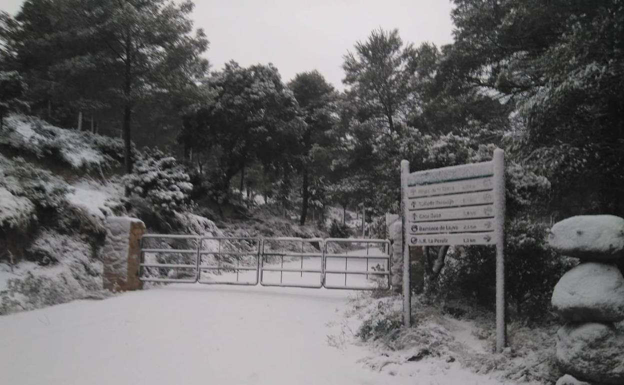 El acceso a Sierra Espuña tuvo que se cortado este lunes.