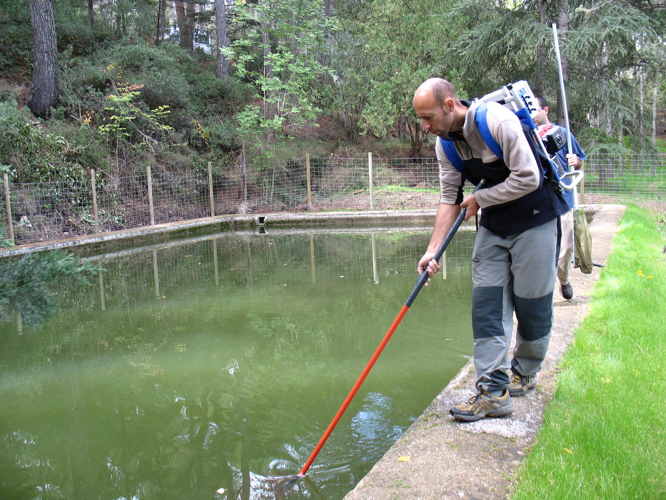 Casi cincuenta especies de peces, crustáceos, moluscos y plantas exóticas, y más de 100 'futuribles', amenazan la biodiversidad de los ecosistemas acuáticos del Sureste.