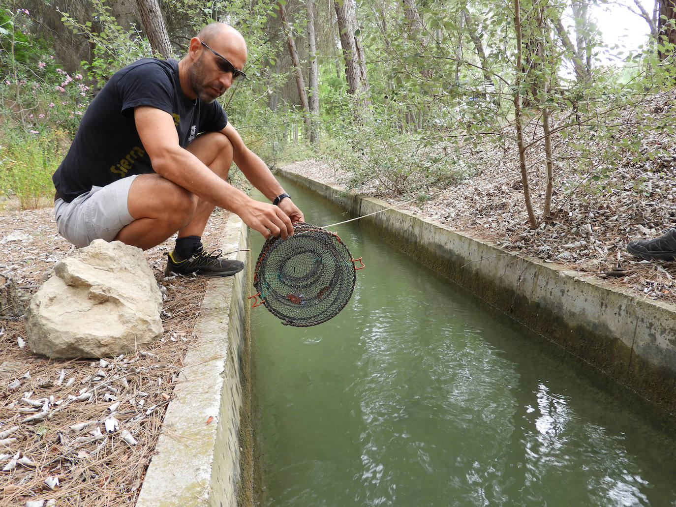 Casi cincuenta especies de peces, crustáceos, moluscos y plantas exóticas, y más de 100 'futuribles', amenazan la biodiversidad de los ecosistemas acuáticos del Sureste.