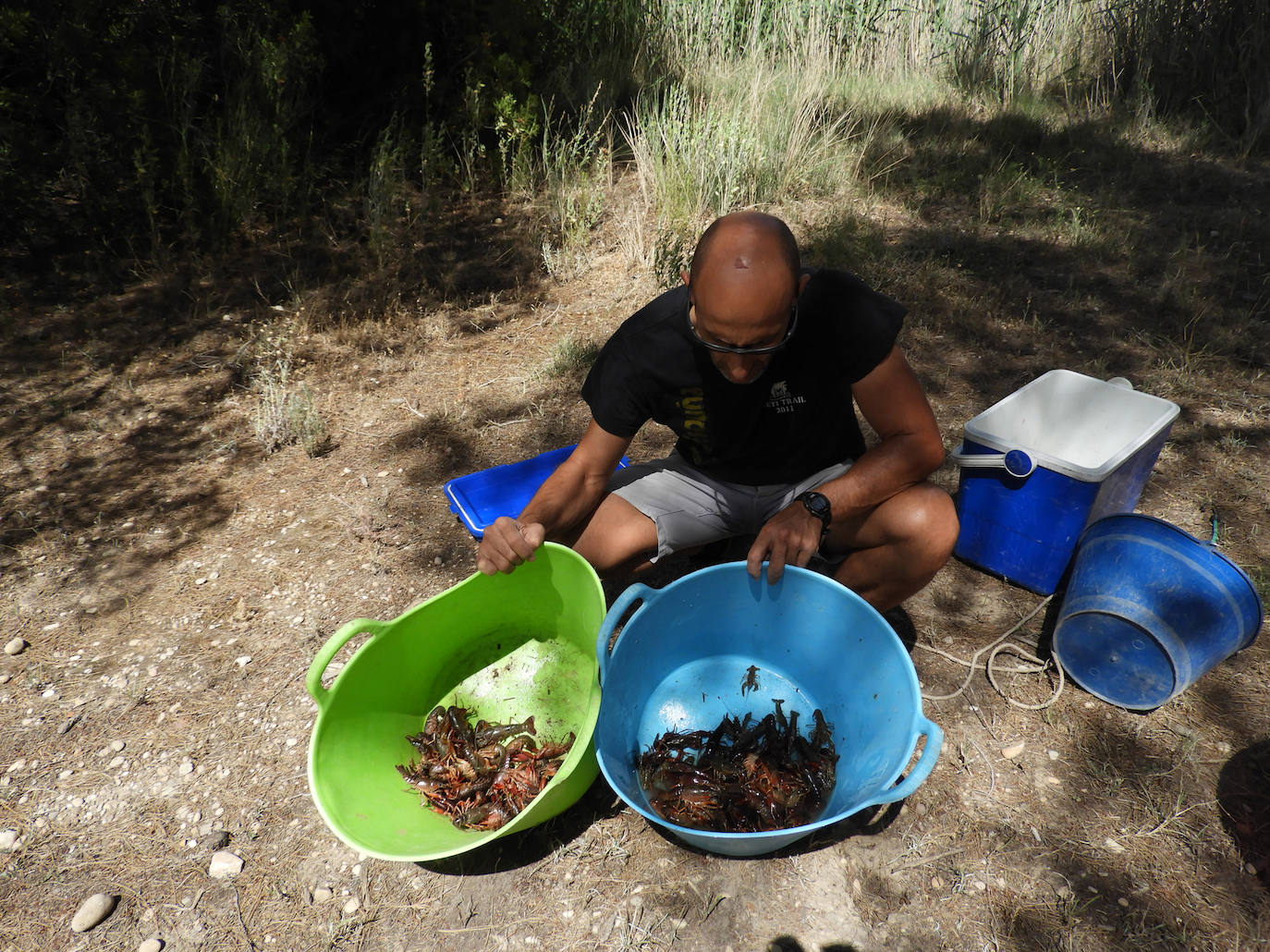 Casi cincuenta especies de peces, crustáceos, moluscos y plantas exóticas, y más de 100 'futuribles', amenazan la biodiversidad de los ecosistemas acuáticos del Sureste.