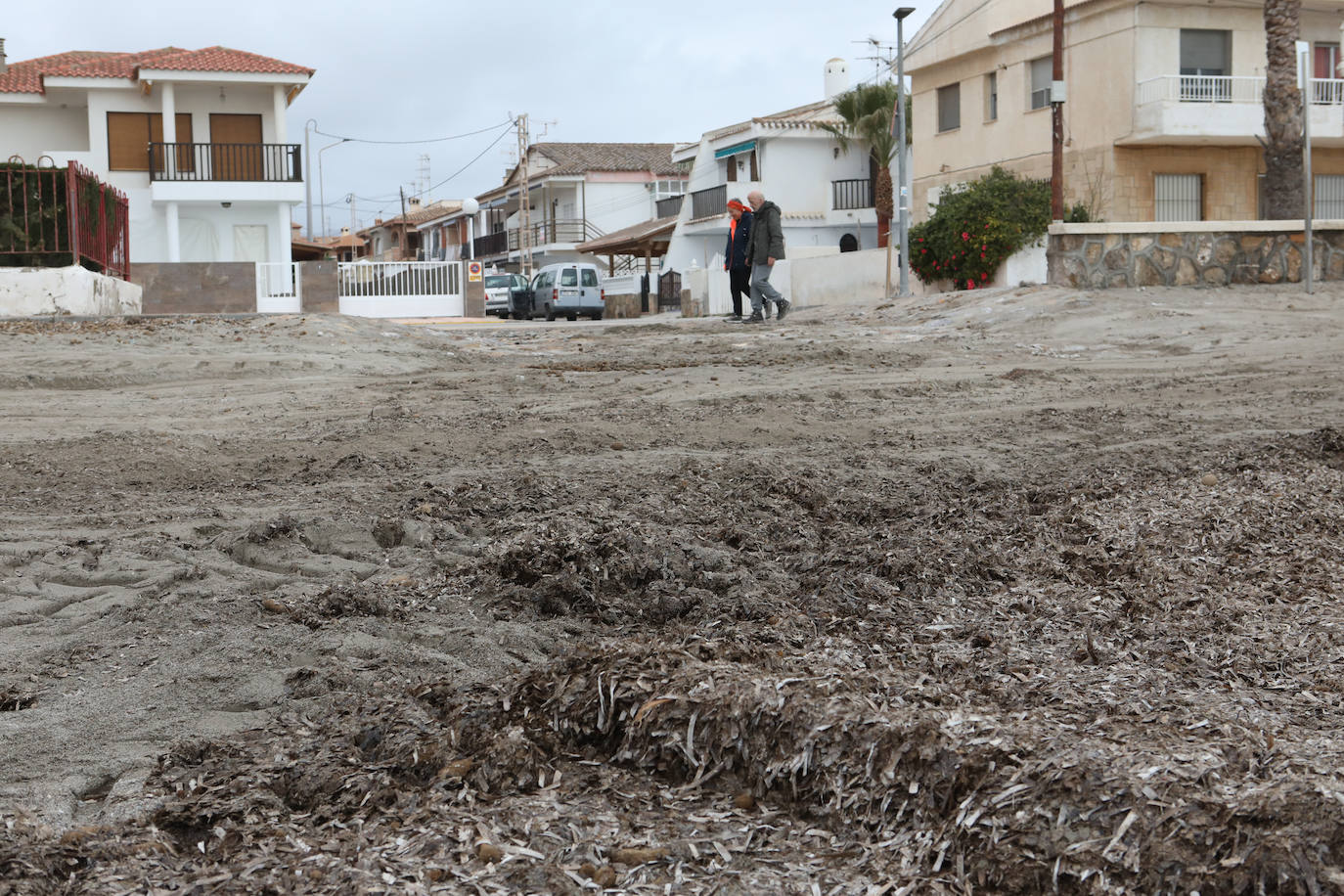 Fotos: Operación &#039;draga y pintura&#039; en las playas de la Región