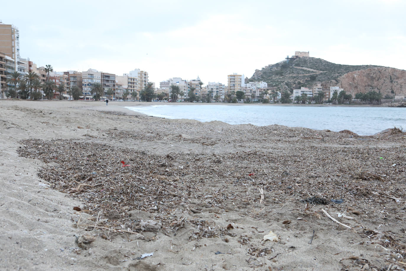 Fotos: Operación &#039;draga y pintura&#039; en las playas de la Región