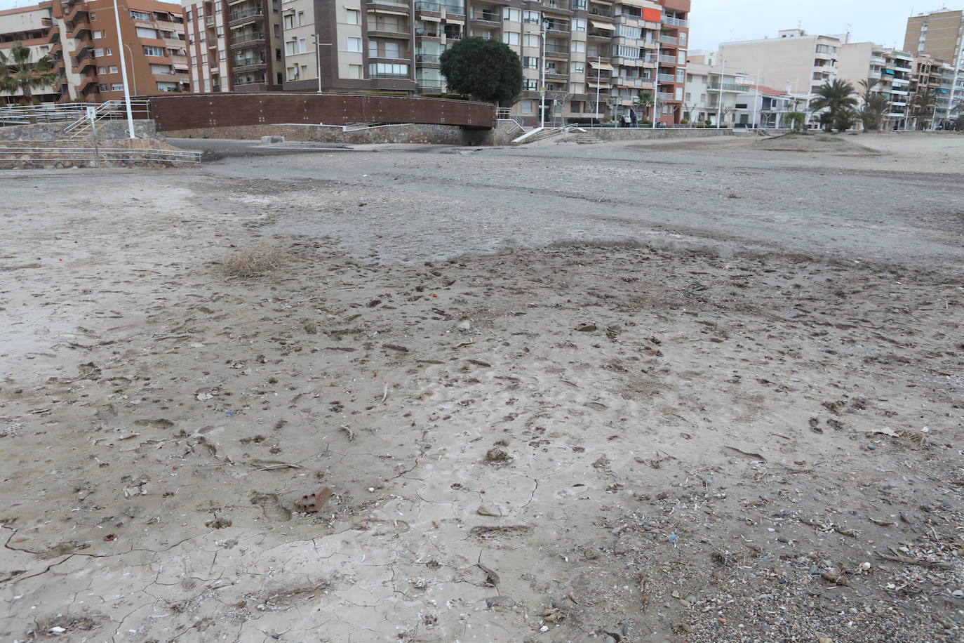 Fotos: Operación &#039;draga y pintura&#039; en las playas de la Región