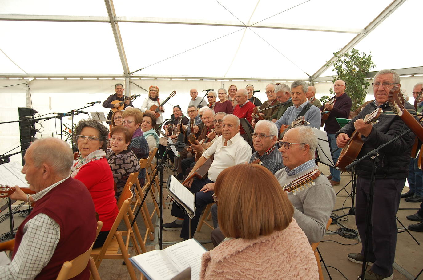 Fotos: 1.000 kilos de matanza en Alhama