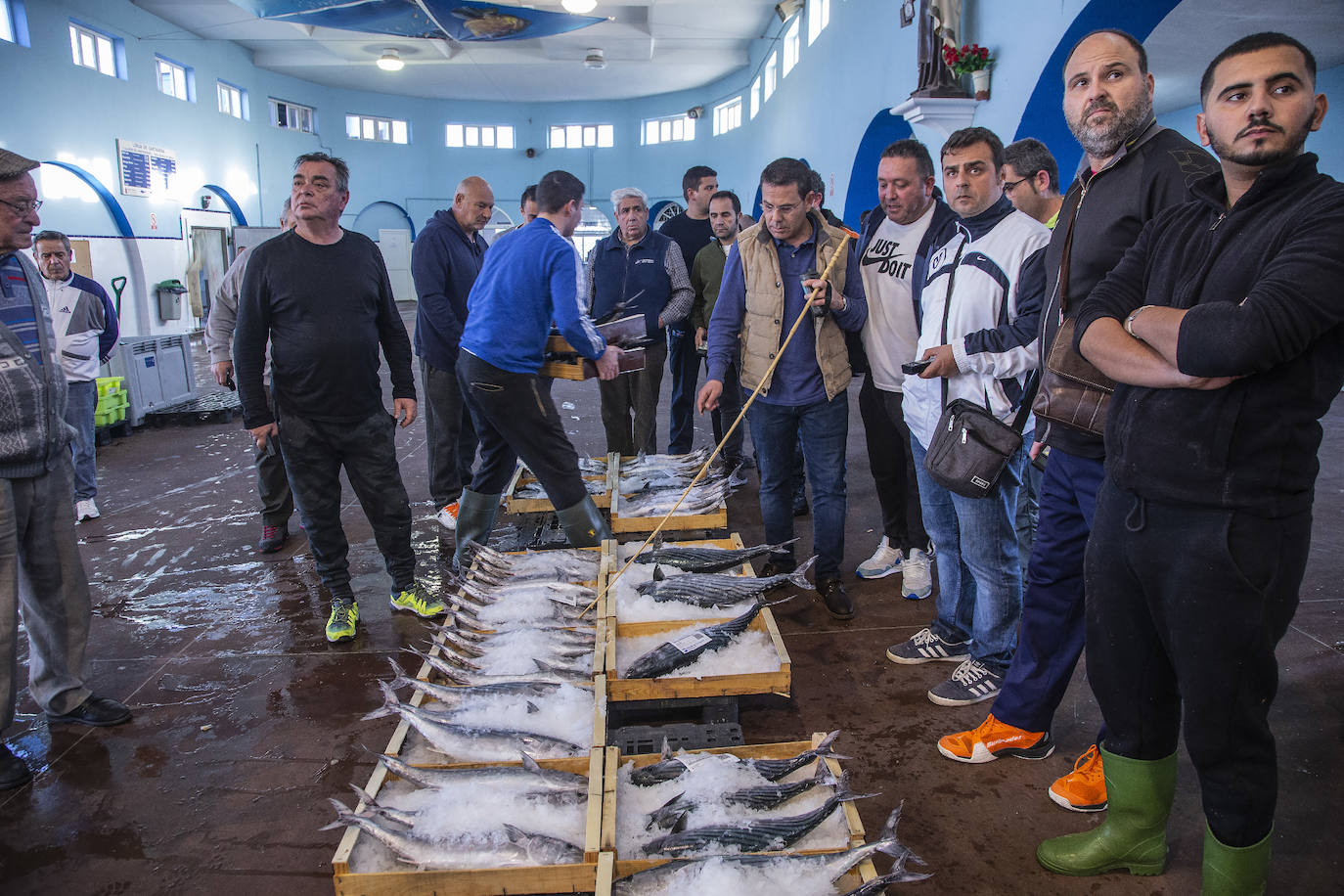 Fotos: La fuga de doradas y lubinas de jaulas tira los precios del pescado en la lonja de Cartagena