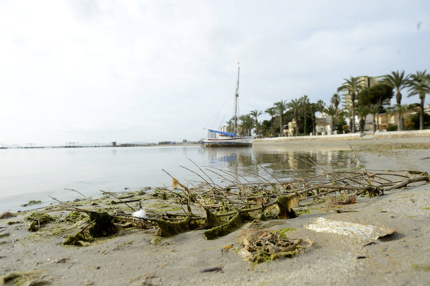 Fotos: Operación &#039;draga y pintura&#039; en las playas de la Región