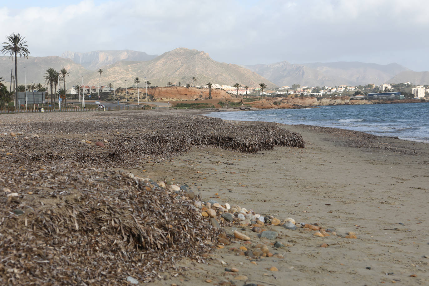 Fotos: Operación &#039;draga y pintura&#039; en las playas de la Región