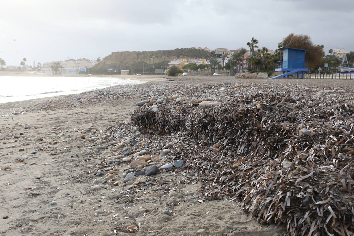 Fotos: Operación &#039;draga y pintura&#039; en las playas de la Región