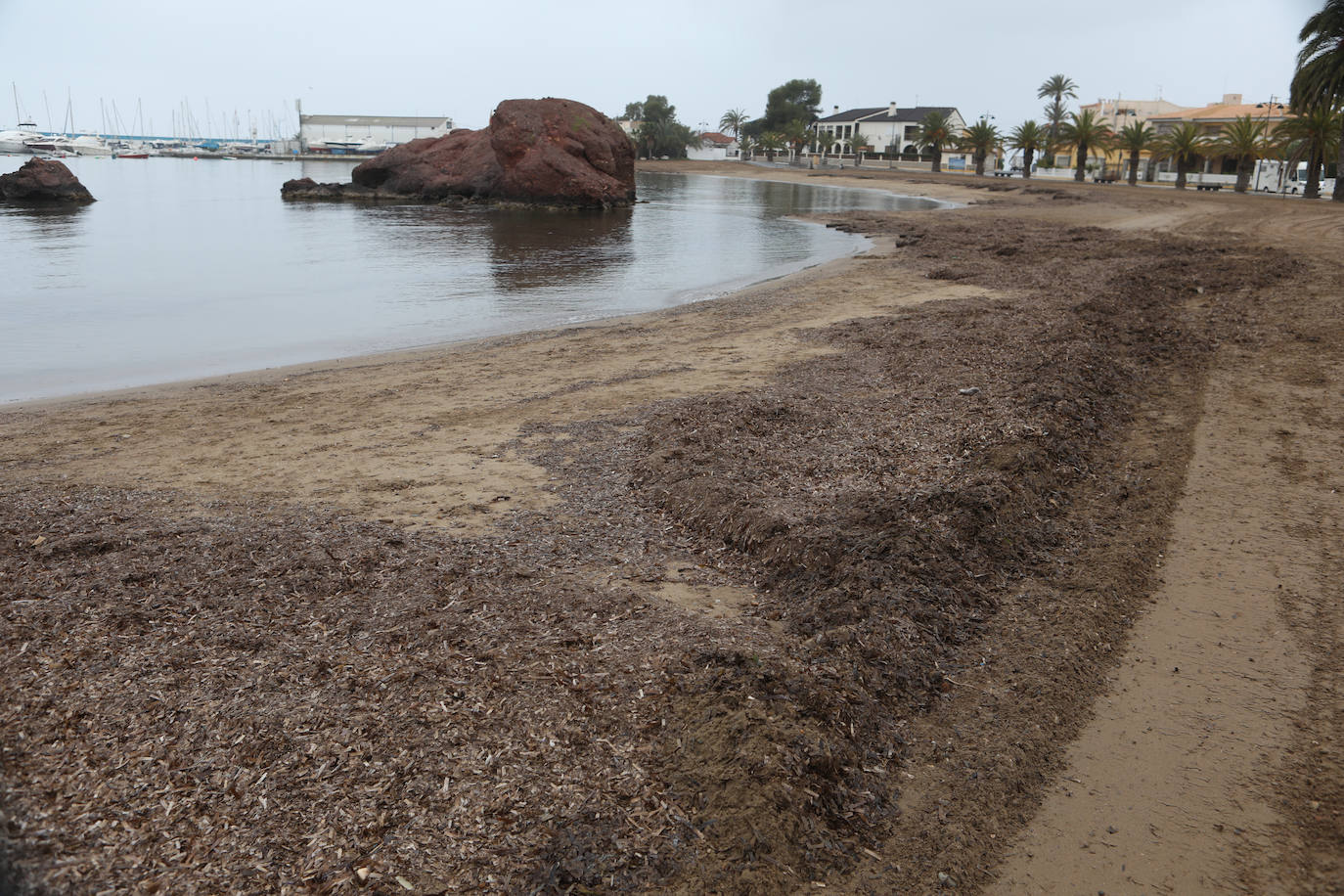 Fotos: Operación &#039;draga y pintura&#039; en las playas de la Región