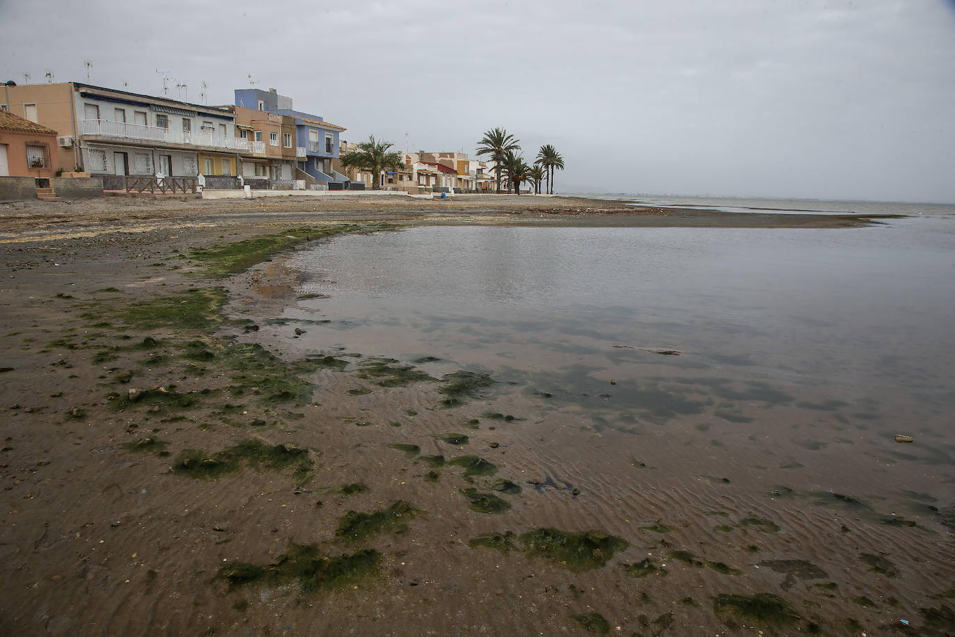 Fotos: Operación &#039;draga y pintura&#039; en las playas de la Región