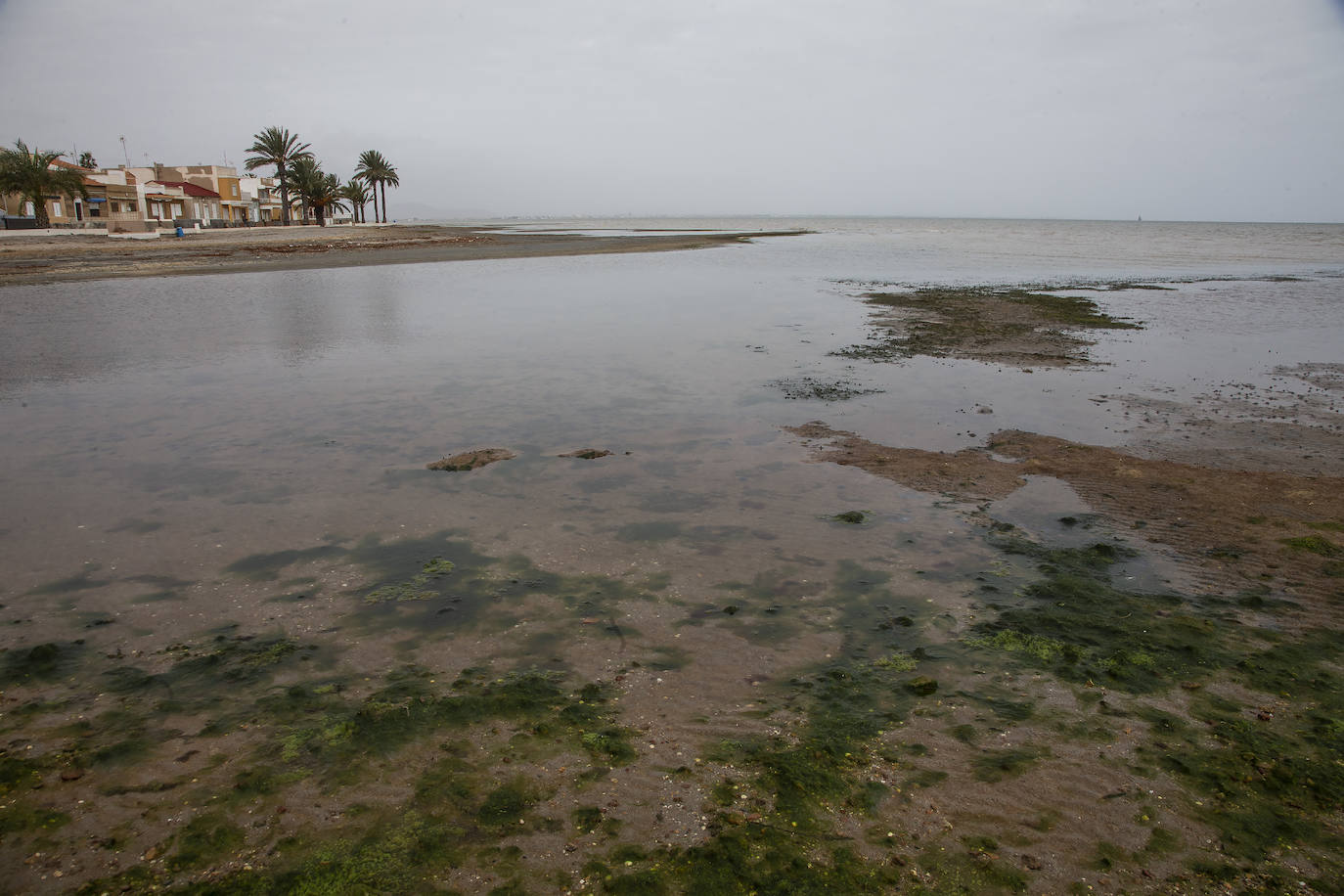 Fotos: Operación &#039;draga y pintura&#039; en las playas de la Región