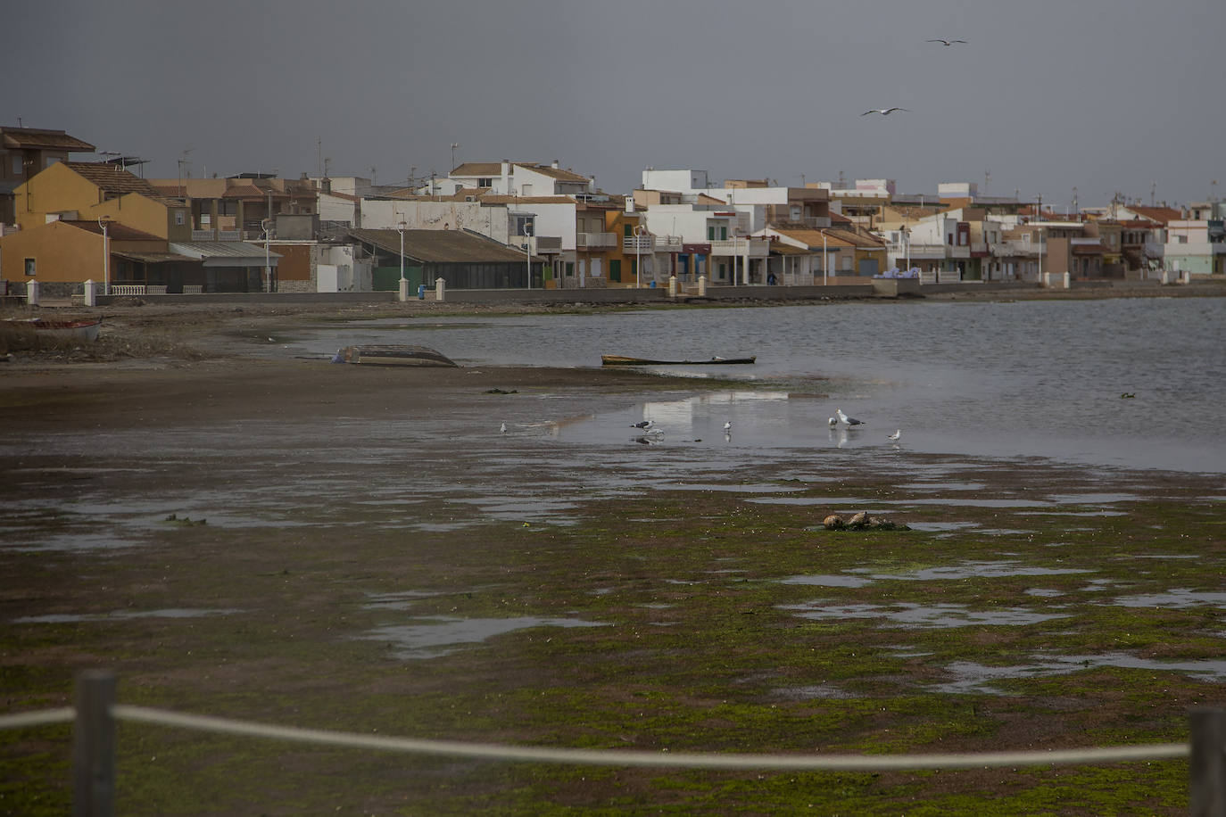 Fotos: Operación &#039;draga y pintura&#039; en las playas de la Región