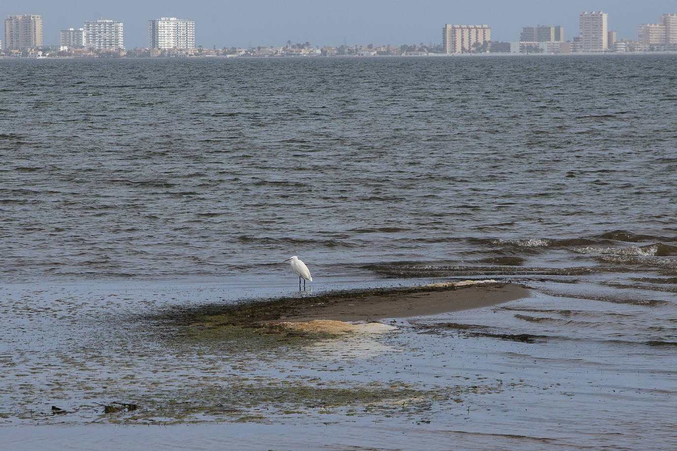 Fotos: Operación &#039;draga y pintura&#039; en las playas de la Región