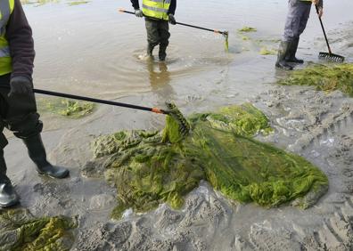 Imagen secundaria 1 - Playas de La Puntica y Villananitos, en Lo Pagán. 