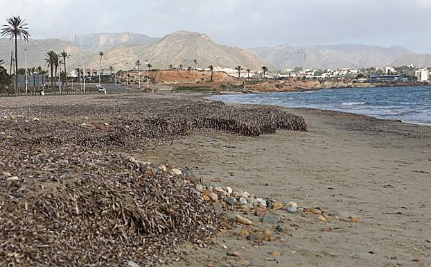 Imagen principal - Playas del Alamillo, Bolnuevo y La Ermita de Mazarrón. 
