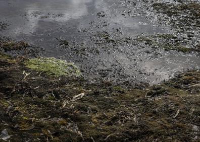 Imagen secundaria 1 - Playas de Marchamalo, Manga Surf y Levante, en Cartagena. 