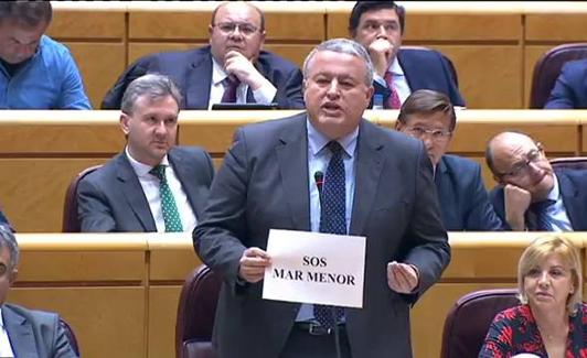 El senador popular Francisco Bernabé, este martes.