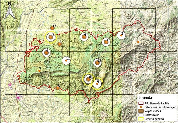 Capturas de movimiento por zonas y especies: 1 Puerto Frío. 2 Peña Bermeja. 3 Rincón de los Poyatos. 4 Llano de las Ovejas. 5 Los Tollos. 6 Puntal de la Torca. 7 El Prisco. 8 Casa de Portillo. 9 El Azagador. 10 Solano del Peñasco Colorao. 11 Picos de Peña Roja. 12 El Azagador. 13 Barranco de Valcárcel. 14 Corral de Torrao