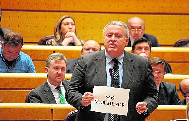 Francisco Bernabé, ayer, en la sesión del Senado mostrando un cartel con el lema 'SOS Mar Menor'.