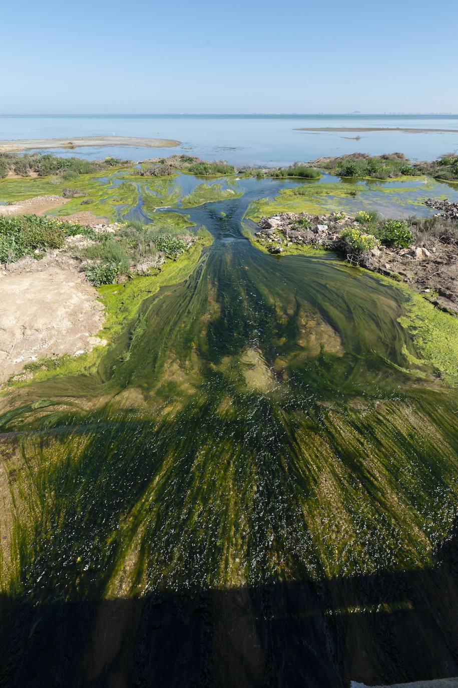 Fotos: Investigan un posible vertido al Mar Menor en la zona del humedal de El Carmolí