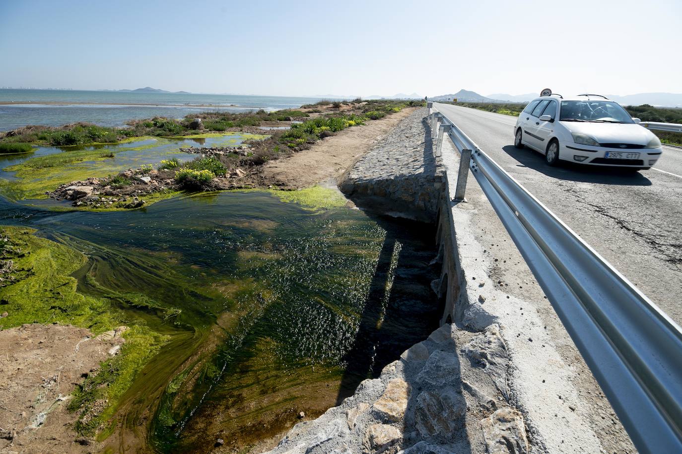 Fotos: Investigan un posible vertido al Mar Menor en la zona del humedal de El Carmolí