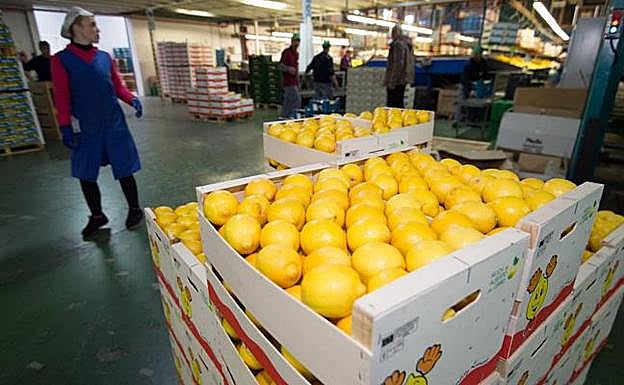 Imagen de archivo de una empresa murciana. 