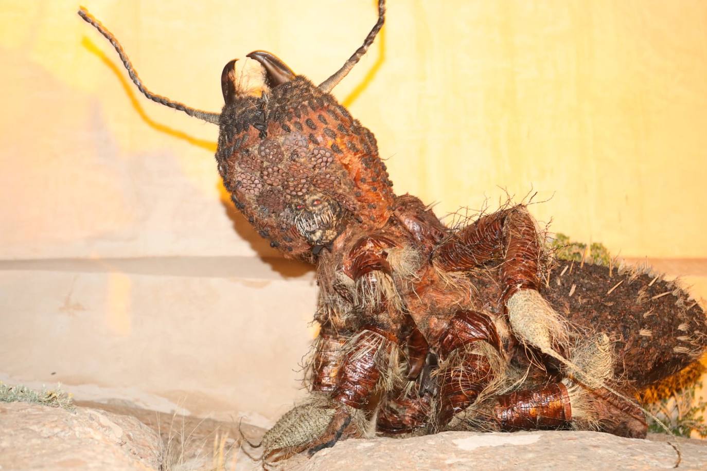 Fotos: El Carnaval de Águilas comienza con la Suelta de la Mussona