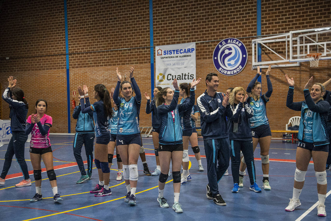 Las chicas de André Collin perdieron por cero a tres ante el líder Logroño, pero consiguieron matemáticamente su salvación en la élite del voleibol