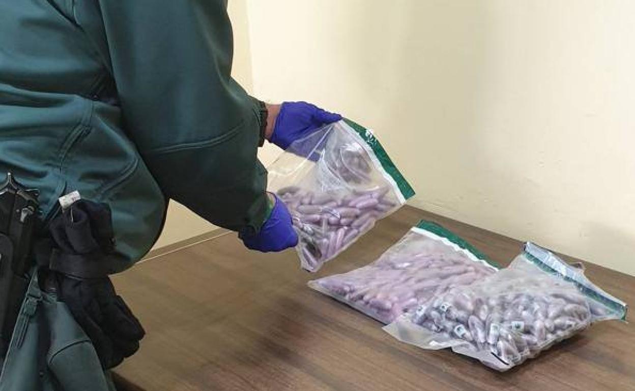 Bellotas intervenidas en el Puerto de Almería.