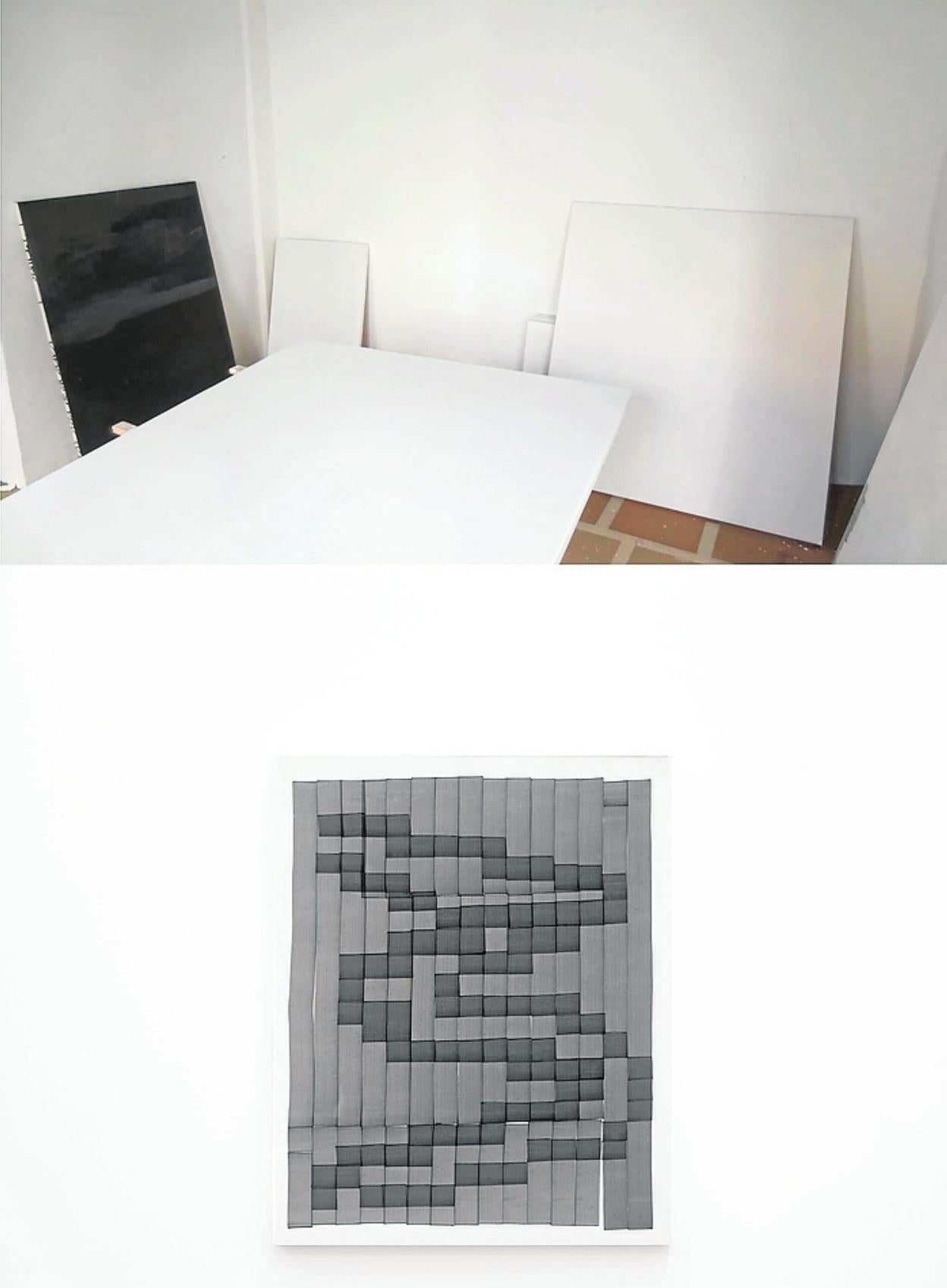 ''Estudio' + 'Geometría animal'