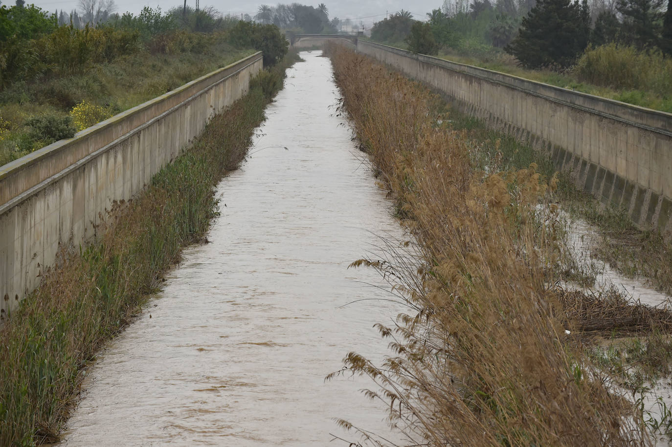 Efectos del temporal en Murcia.