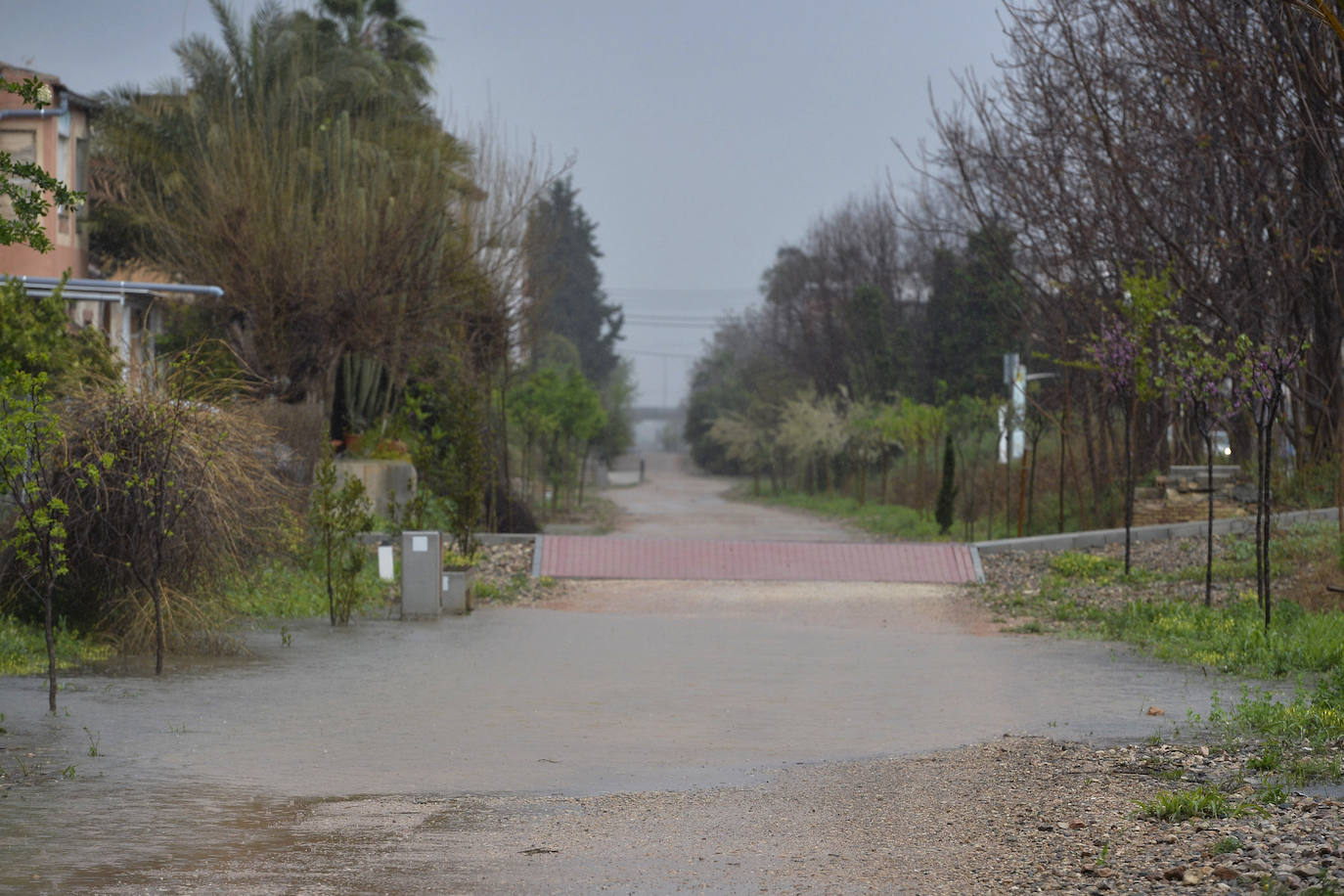 Efectos del temporal en Beniaján y Torreagüera.