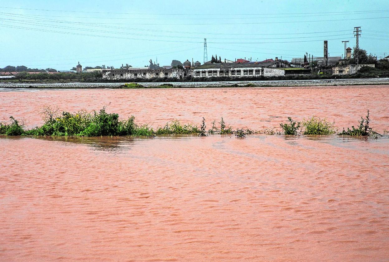 Numerosas zonas del Campo de Cartagena amanecieron anegadas ayer. 