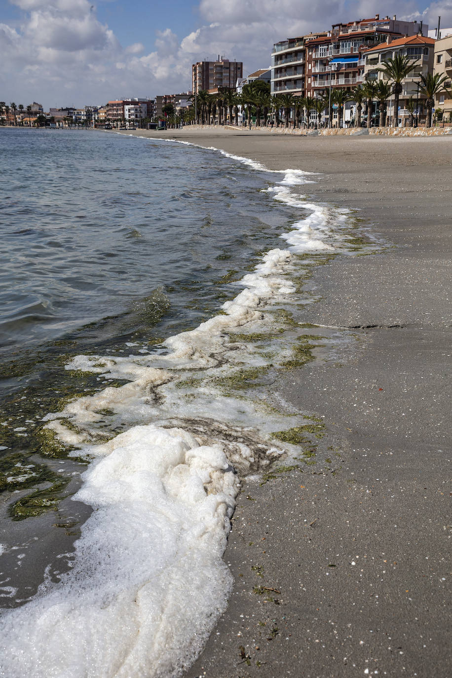 Fotos: El Mar Menor empeora: se dobla la clorofila y se triplica la turbidez