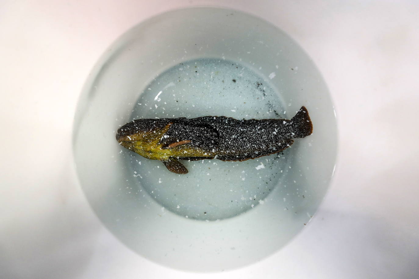 Fotos: Los secretos de la Antártida