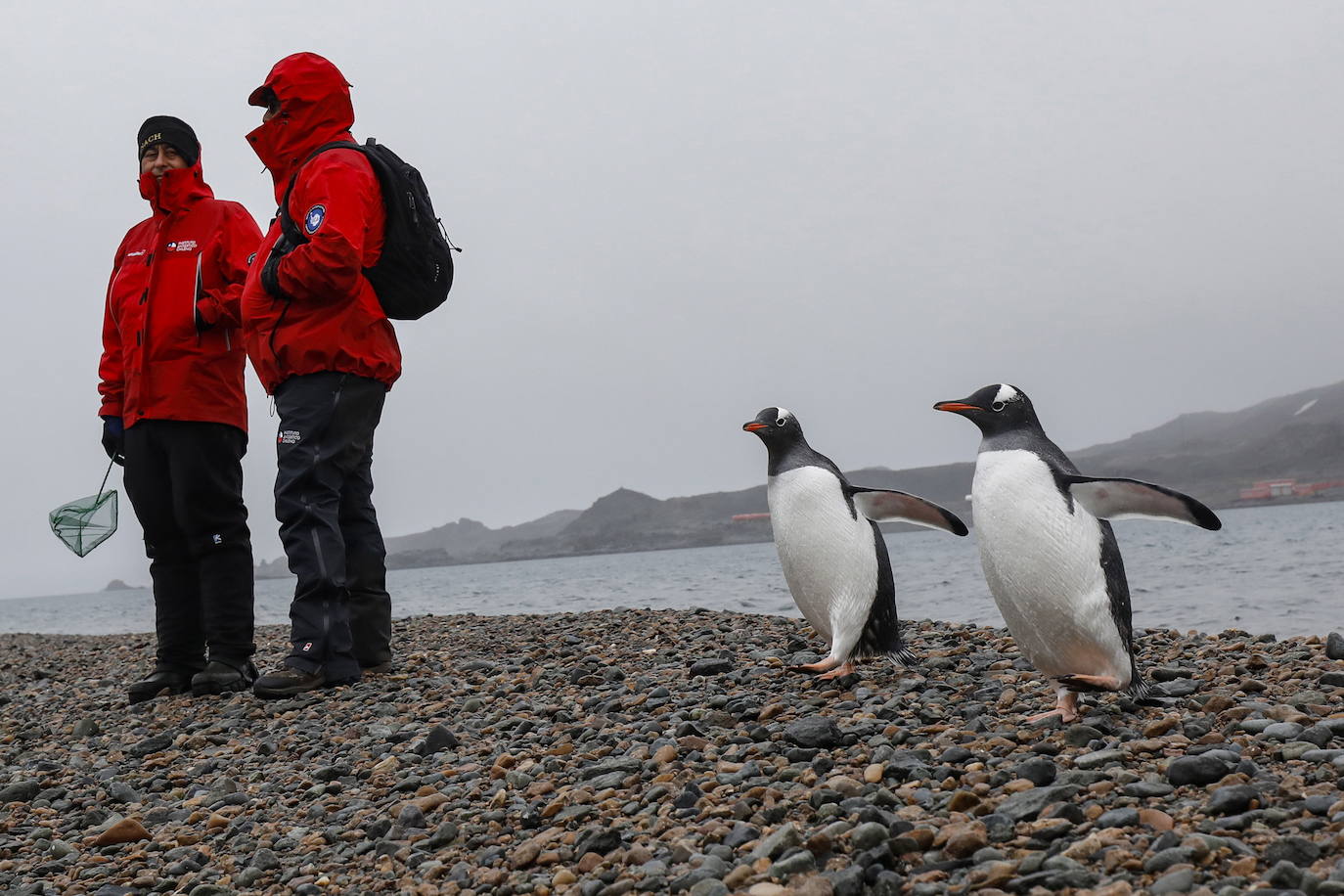 Fotos: Los secretos de la Antártida