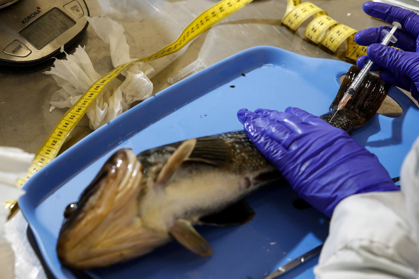 Fotos: Los secretos de la Antártida