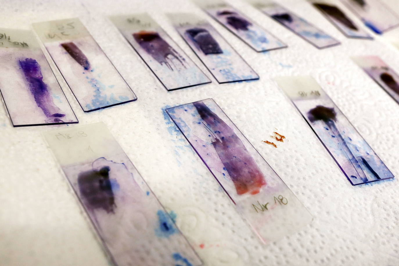 Fotos: Los secretos de la Antártida