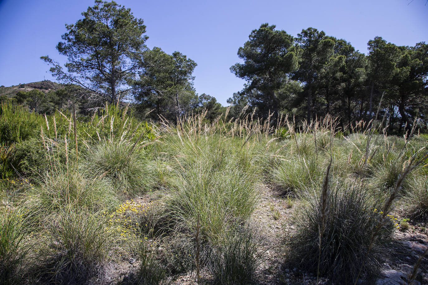 Fotos: «Quiero dejar la Peña del Águila en buenas manos»