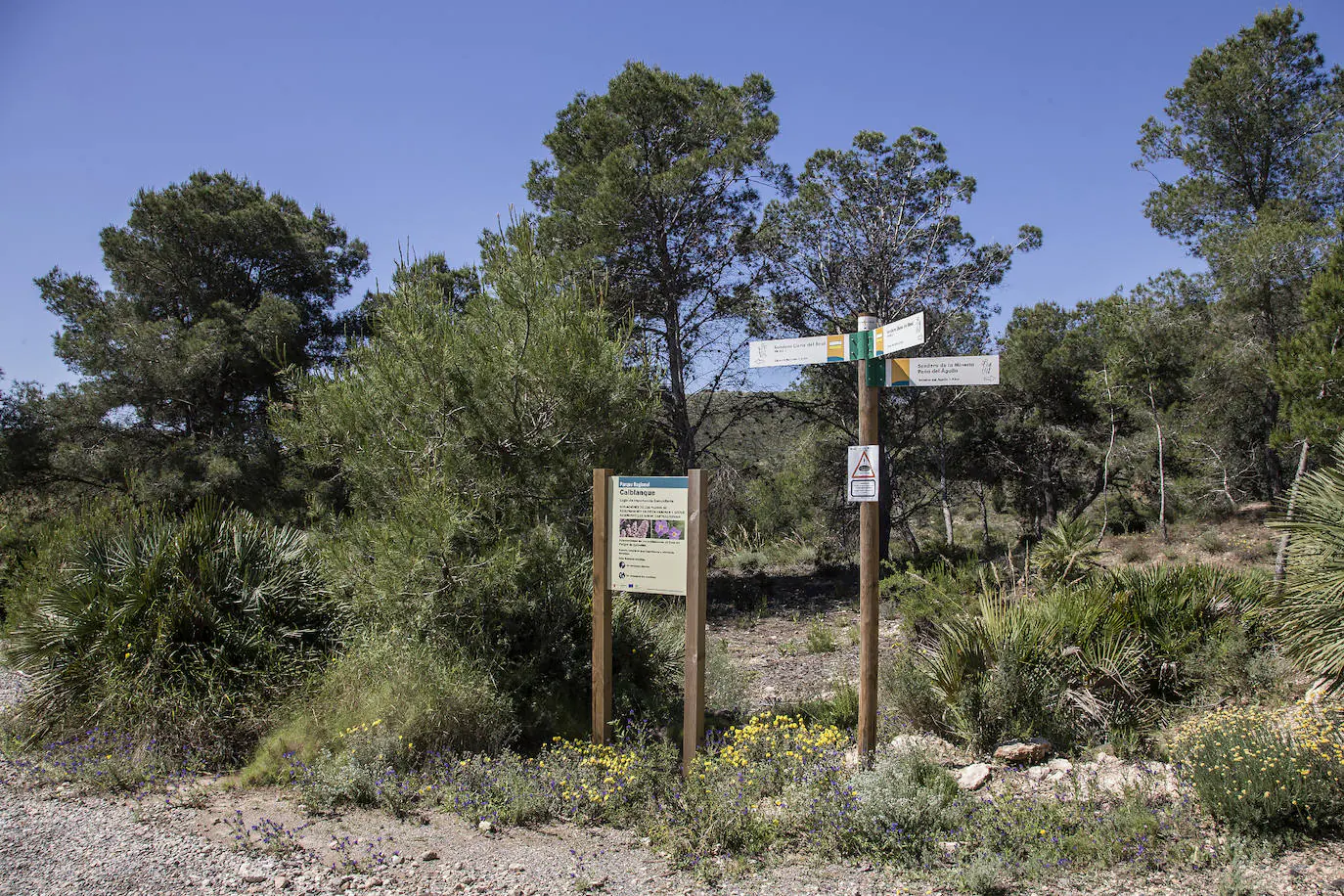 Fotos: «Quiero dejar la Peña del Águila en buenas manos» | La Verdad