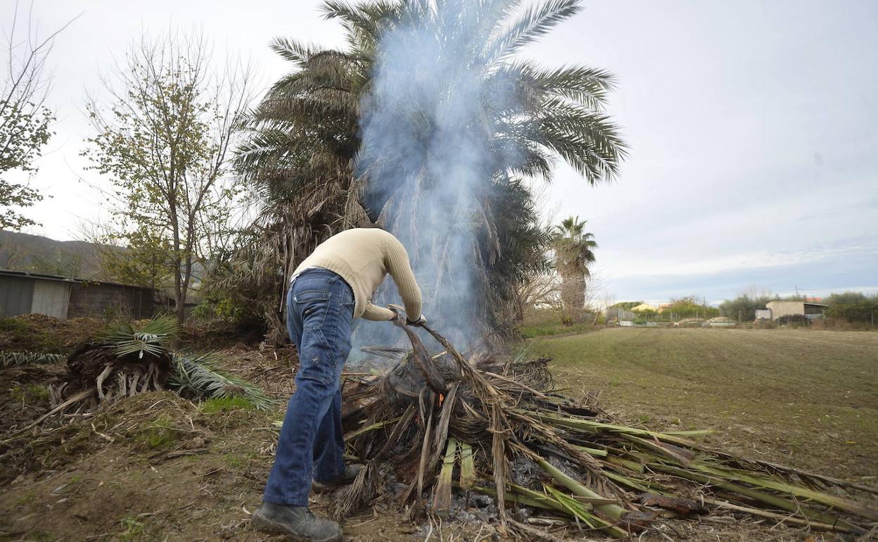 El propietario de una parcela en la huerta de Murcia quema restos de poda.